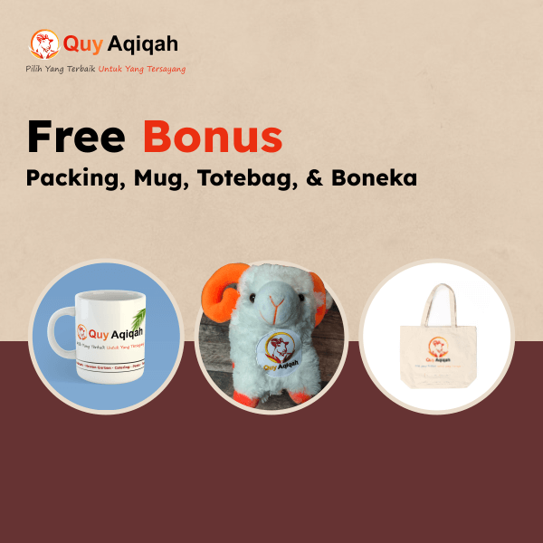 bonus aqiqah